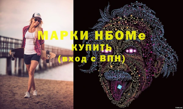 индика Протвино