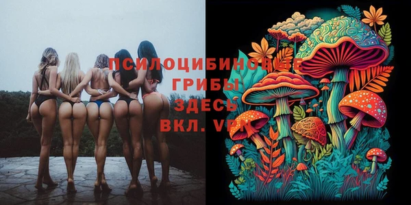 таблы Вязники