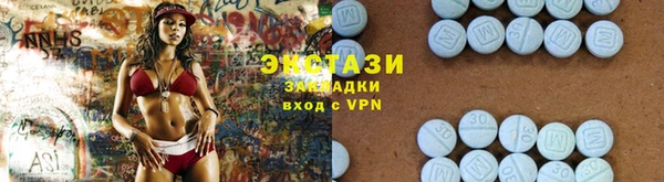 стаф Вязьма